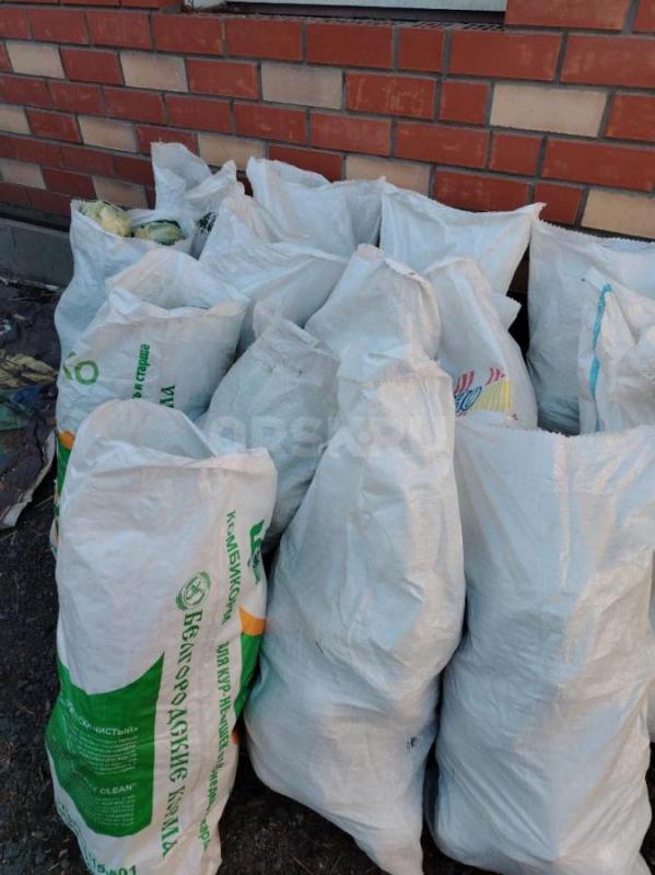 Продам капусту на корм курям, кролам, козам. - Орск