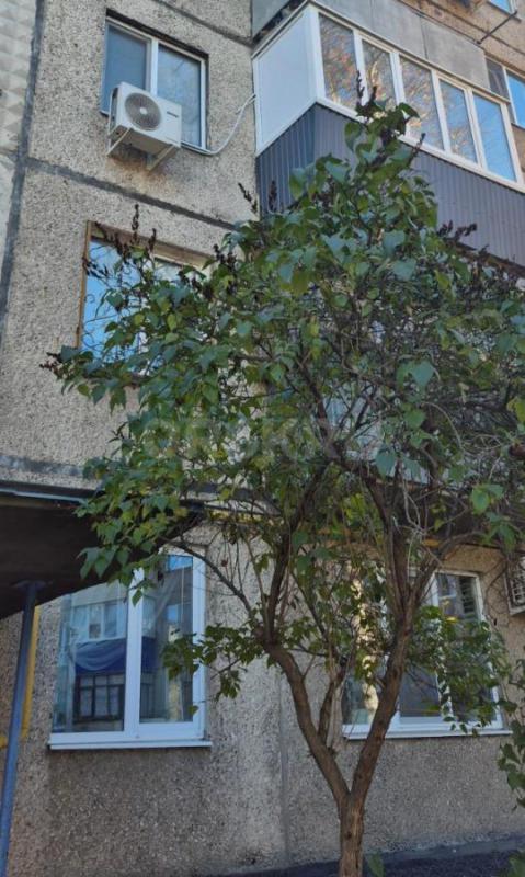 Продам 3 ком квартиру на 3 этаже,район Васнецова. - Орск