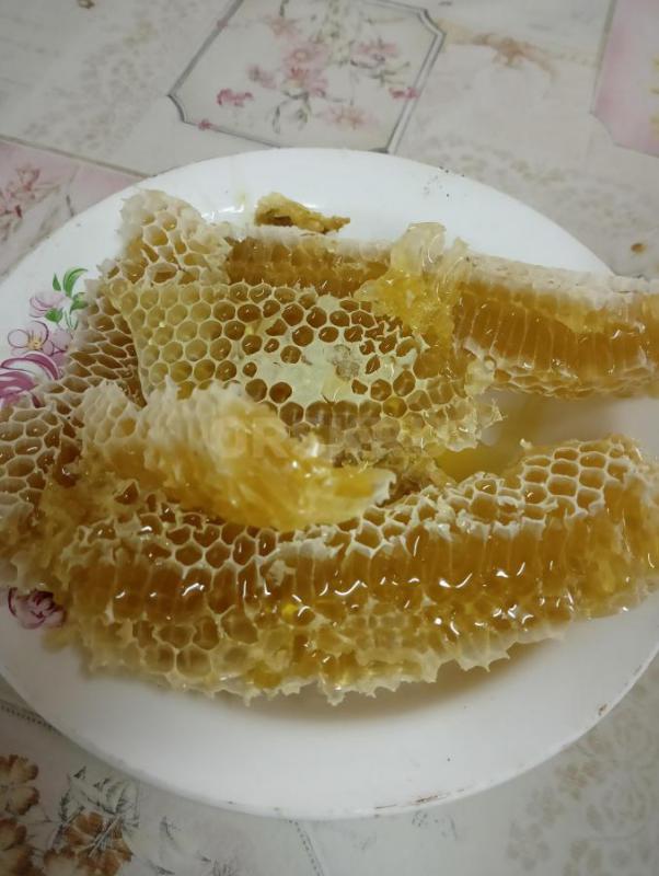Мёд из Саракташского района 100% натуральный с собственной пасеки. - Орск