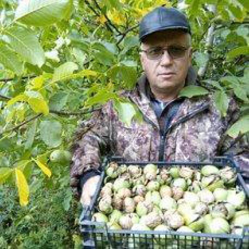 Вы не опоздали посадить у себя понравившиеся Вам саженцы, ведь посадка с комом земли проводится в лю - Орск