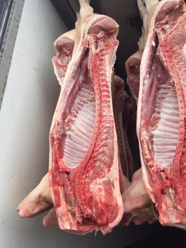 Мясо свинины (домашняя) Вес от 40 кг до 120 кг. - Оренбург