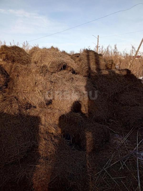 Отдам даром сено тюковое, попало под воду - Орск