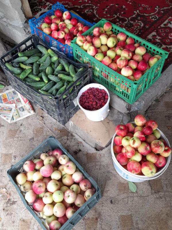 Продам сад огород  р-н &quot;попов угол&quot; 5км. - Орск