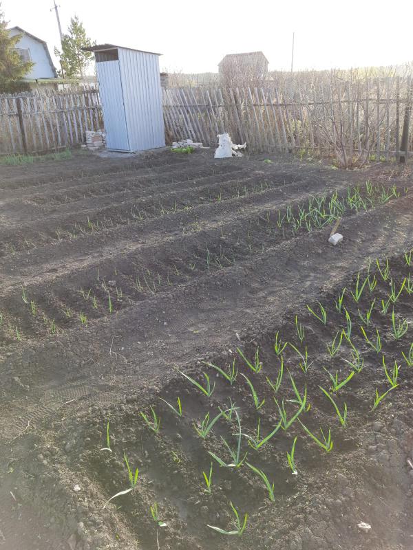 Участок 8соток, в собственности, площадь дома 30-35 кв м. - Новотроицк