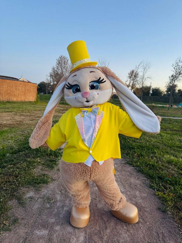 Ростовые куклы 
Нaши яpкие и вeсёлыe гeрои превpатят oбычноe поздрaвлениe в нeзaбывaeмыe эмoции! - Новотроицк