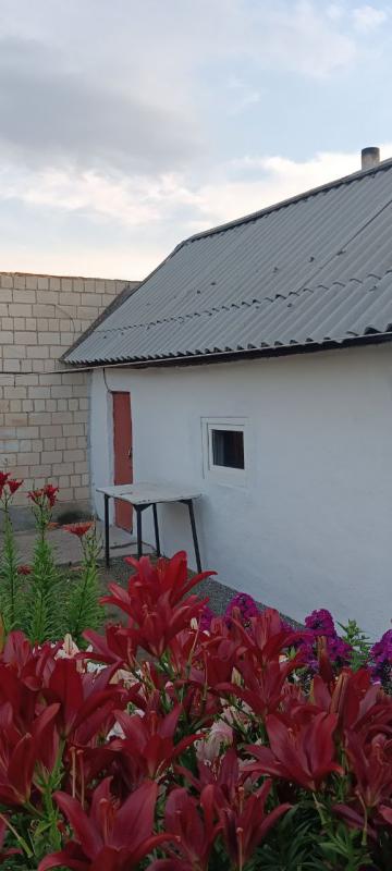 ИДЕАЛЬНОЕ МЕСТО ДЛЯ ЖИЗНИ и ОТДЫХА!!! - Гай