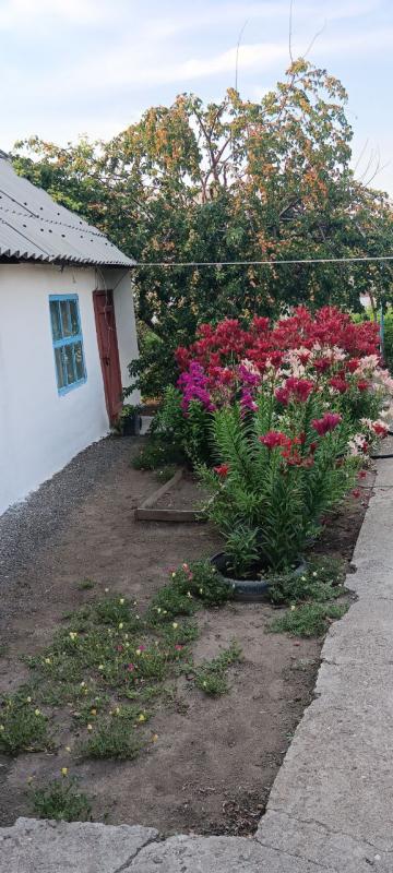 ИДЕАЛЬНОЕ МЕСТО ДЛЯ ЖИЗНИ и ОТДЫХА!!! - Гай