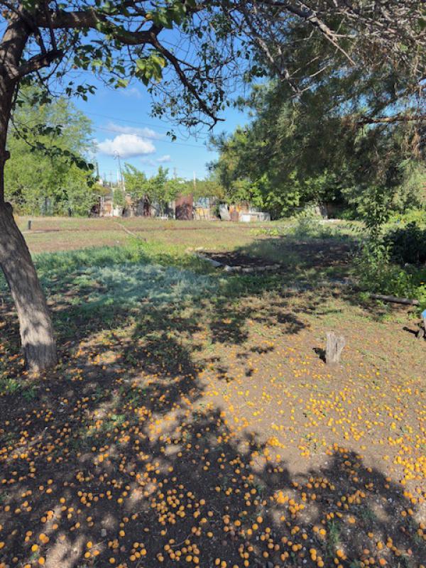 Садовый домик 60 кв. - Новотроицк