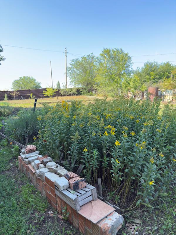 Садовый домик 60 кв. - Новотроицк