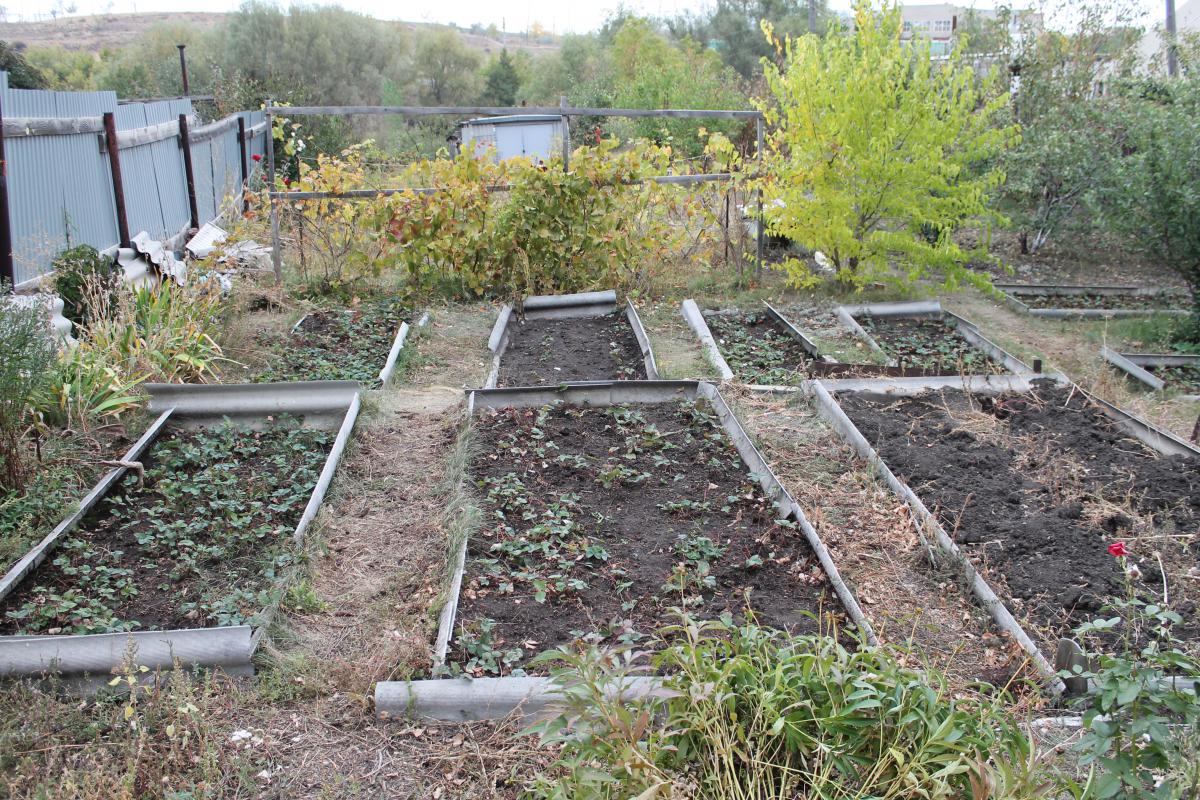 Продам Дом-Дачу в Аккермановке. - Новотроицк