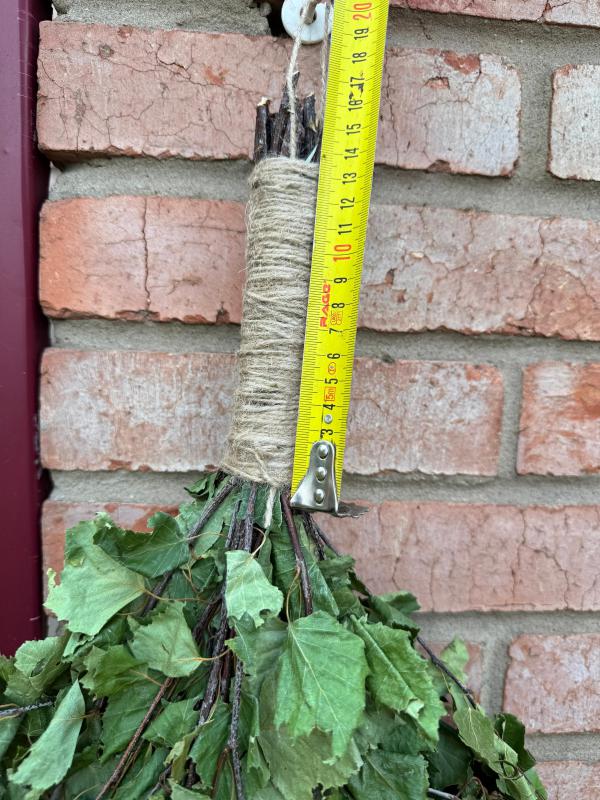 Идеальный банный веник — залог здоровья и отличного настроения! - Новотроицк