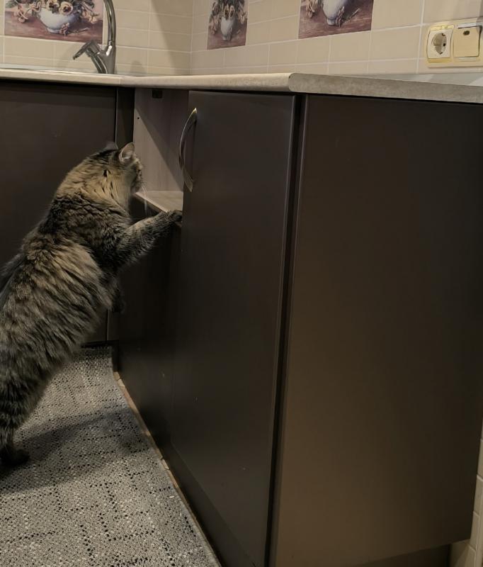 Продам кухонный гарнитур б/у (нижняя часть) + варочная панель газовая. - Новотроицк