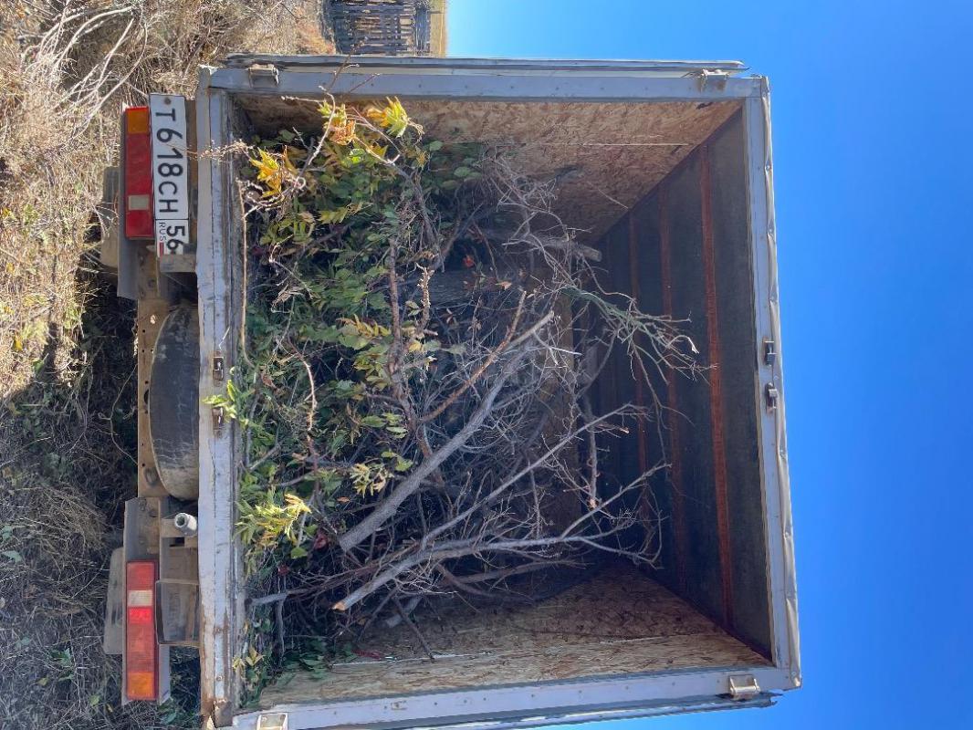 * Вывозим бытовой и строительный мусор полностью под ключ  
* Всегда сможем договориться о цене
* - Орск