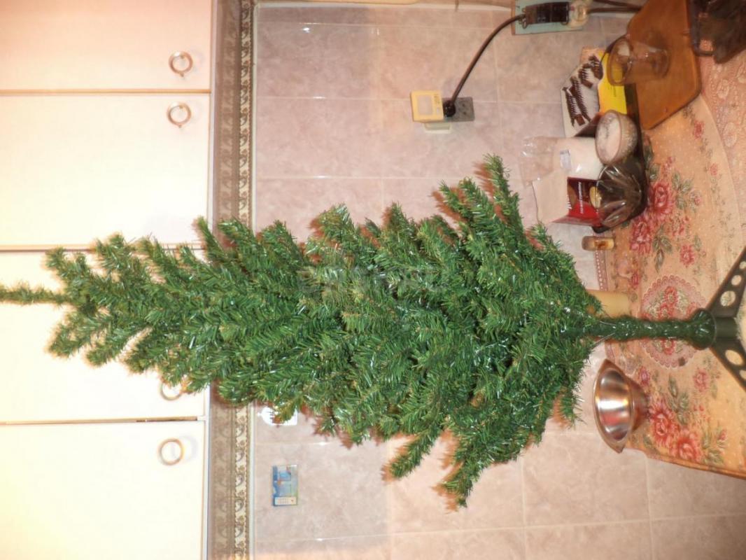 Ёлка бу. - Орск