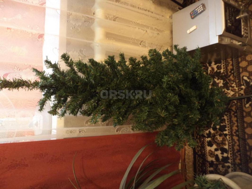 Ёлка бу. - Орск