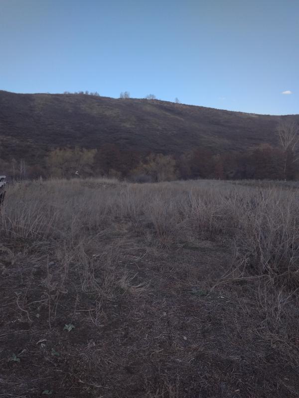 Продам земельный участок по адресу:Кувандыкский р-н. - Новотроицк