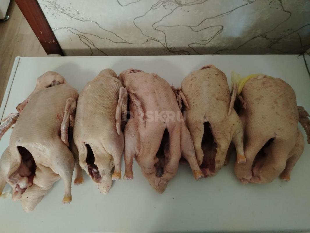 Продам свежих домашних бройлеров-450р /кг
Утки муларды 600р /кг, чисто обработанные. - Орск