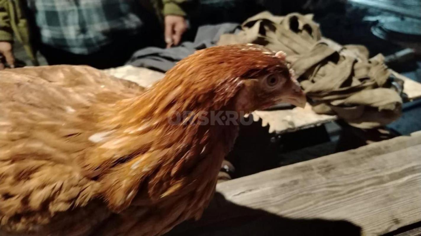 РЕАЛИЗУЕМ! - Орск