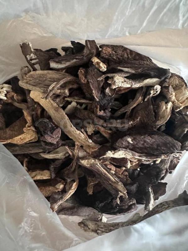 Грибы соленые, маринованные, мороженные, автоклавные (консервированные) и сушеные

Соленые грибы — - Орск