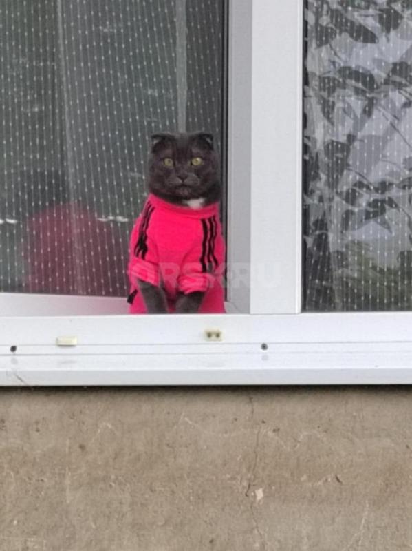 Мужчина ИЩУ интим парикмахершу - Орск