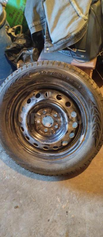 Продам шины шип все родные Нокиан нордман 205/65/р16 отлично,диски штамп тзск черный калпаки сборе н - Орск