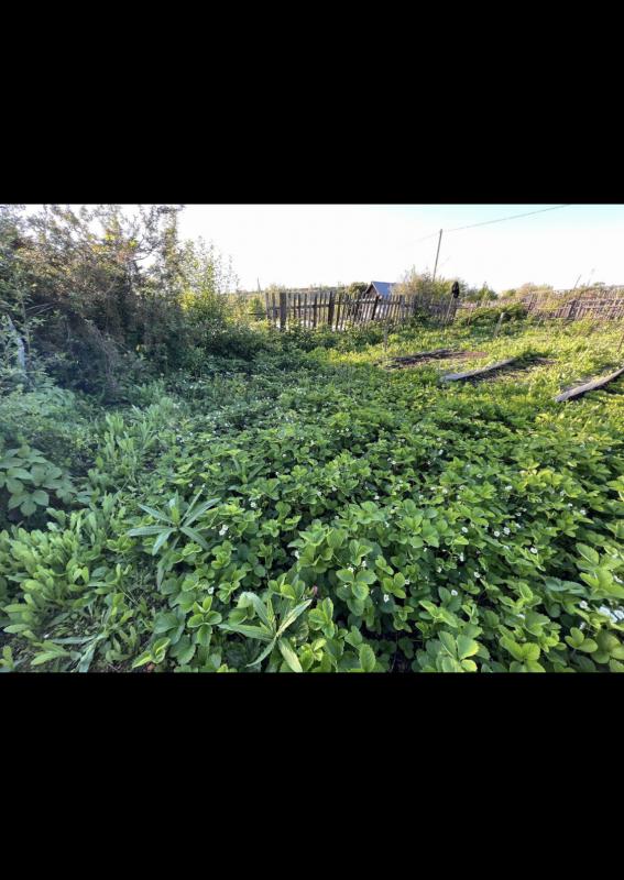 Продам сад огород 8 садах рядом 5 остановке с кирпичном домиком. - Новотроицк