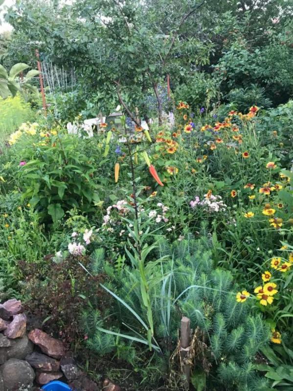 продам сад в СНТ 10 ЮУМЗ ,площадь 6 соток,домик,застекленная веранда,площадка для стоянки машины,про - Орск