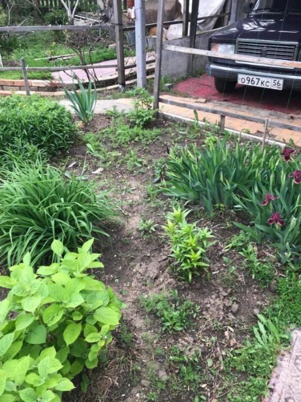 продам сад в СНТ 10 ЮУМЗ ,площадь 6 соток,домик,застекленная веранда,площадка для стоянки машины,про - Орск