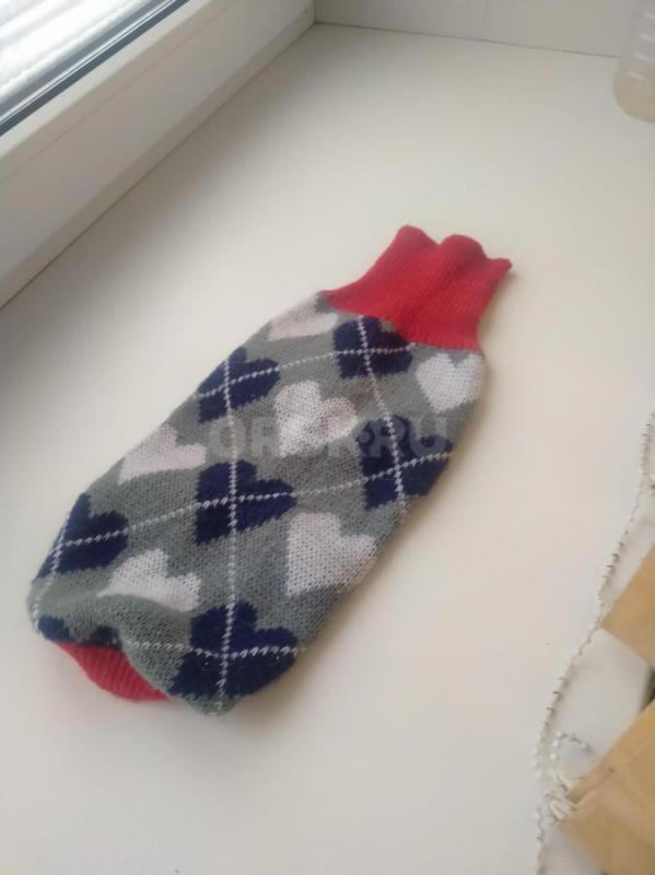 Одежда для собак мелких пород. - Орск