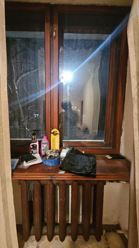 Один взрослый собственник. - 