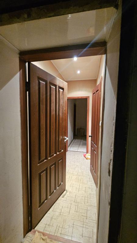 Один взрослый собственник. - 