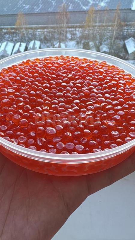 Красная икра 2025! - Орск