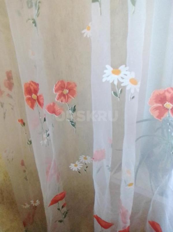 тюль маки с ромашкой 5 метров выс 240-250 500 руб -торг - Орск