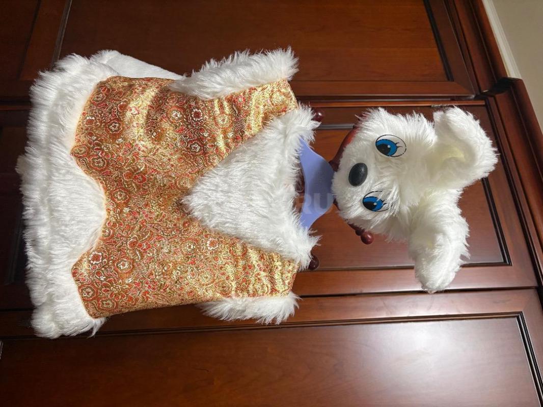 Прокат детских карнавальных костюмов. - Орск