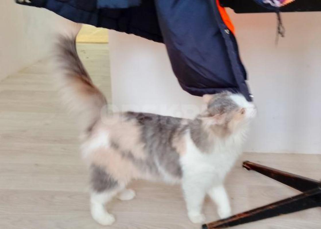 Большая просьба читать весь текст  внимательно. - Орск