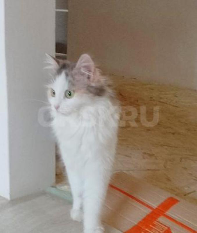 Большая просьба читать весь текст  внимательно. - Орск