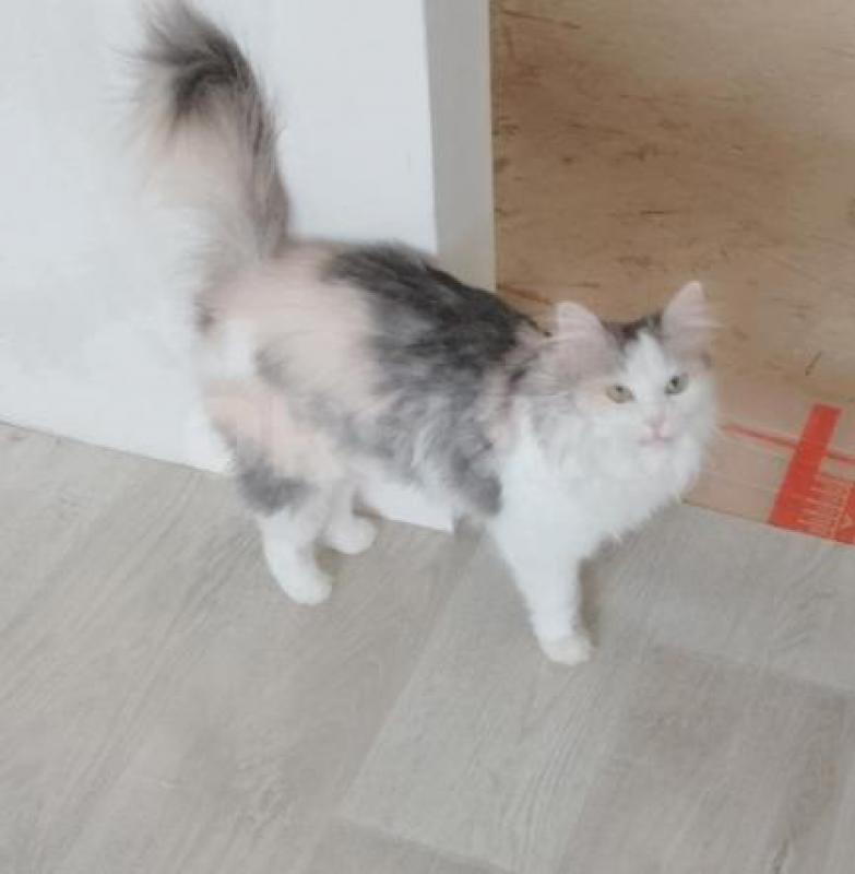 Большая просьба читать весь текст  внимательно. - Орск