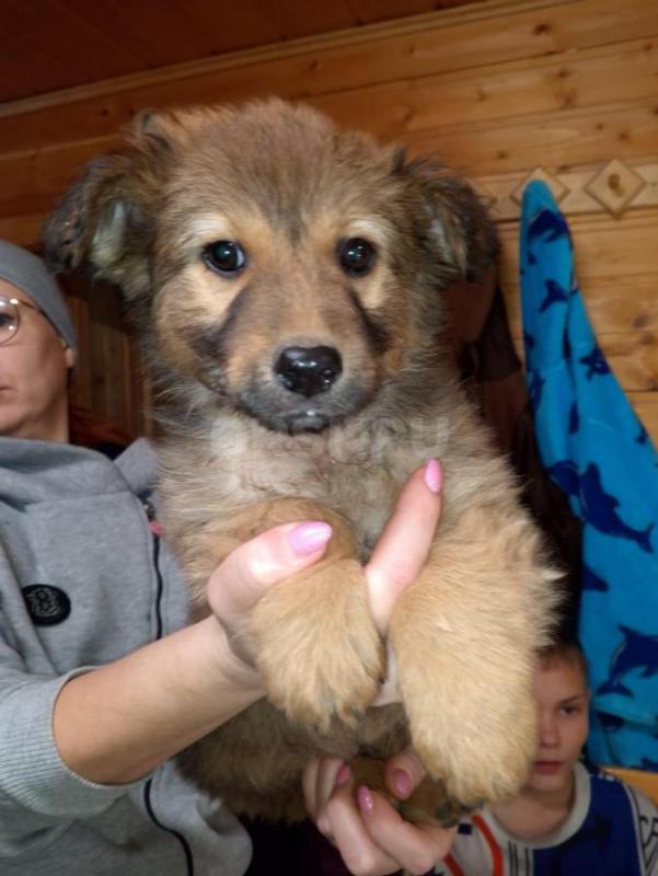 Орск, Новотроицк, Гай, Медногорск, Кувандык и другие населённые пункты ! - Орск