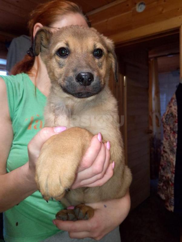 Орск, Новотроицк, Гай, Медногорск, Кувандык и другие населённые пункты ! - Орск