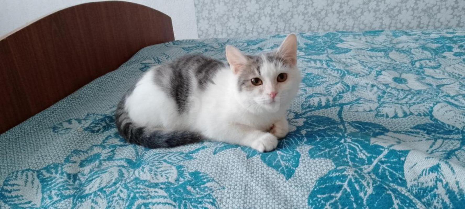 Найдена малышка, около трех месяцев, девочка была домашняя. - Орск