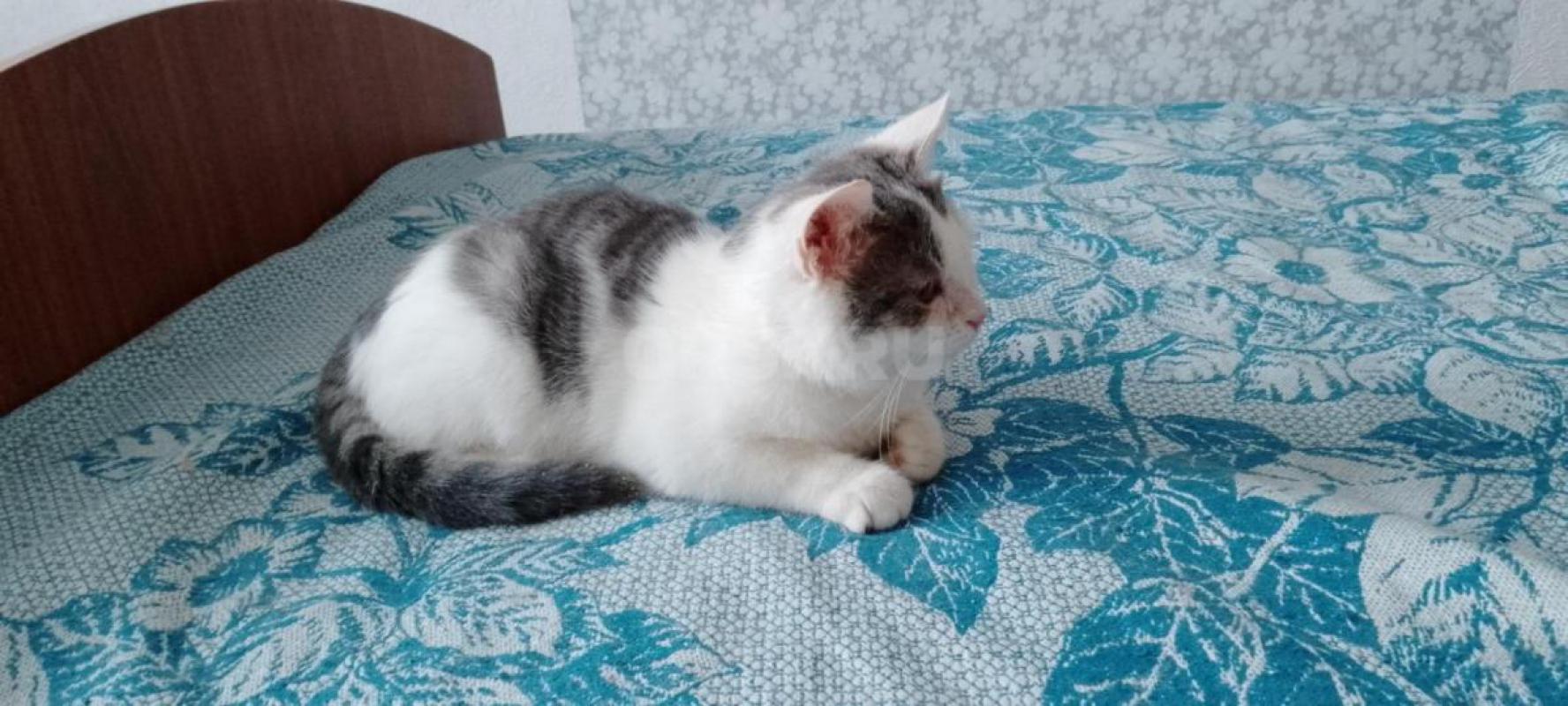 Найдена малышка, около трех месяцев, девочка была домашняя. - Орск