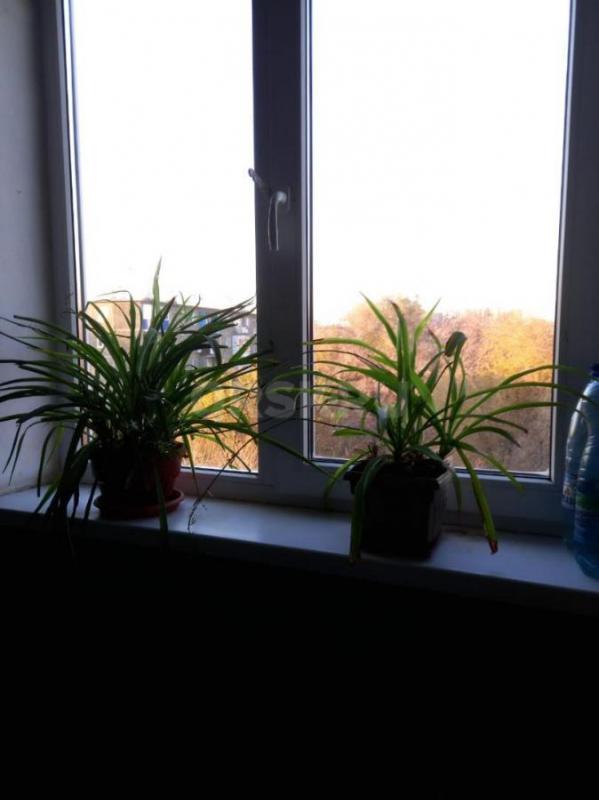 Продам в центре города трехкомнатную квартиру площадью 58,20 квадратных метра. - Орск