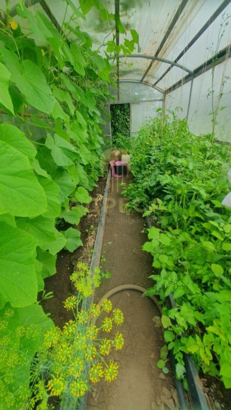 Срочно продам уютную, ухоженную дачу в Ивановских садах СНТ Агропромовец, 2 заезд, 3 линия.  участок - Оренбург