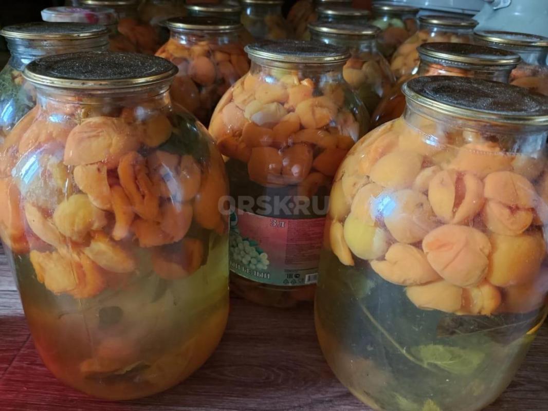 Продам компоты,абрикос,виноград,вишня ,ассорти,насыщенные-150Р. ,3-Х. - Орск