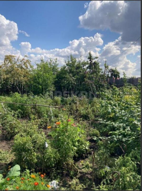 Продается сад на садах №8 с домиком. - Новотроицк