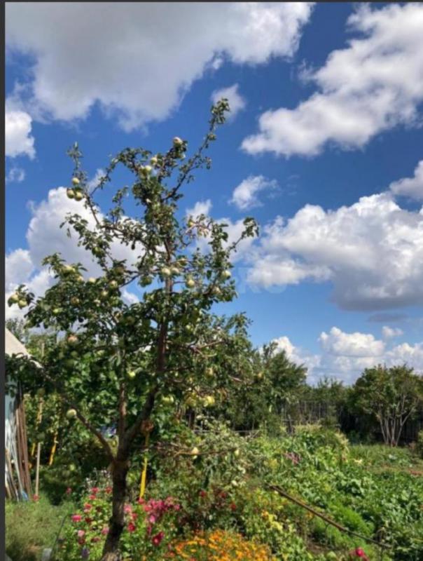 Продается сад на садах №8 с домиком. - Новотроицк