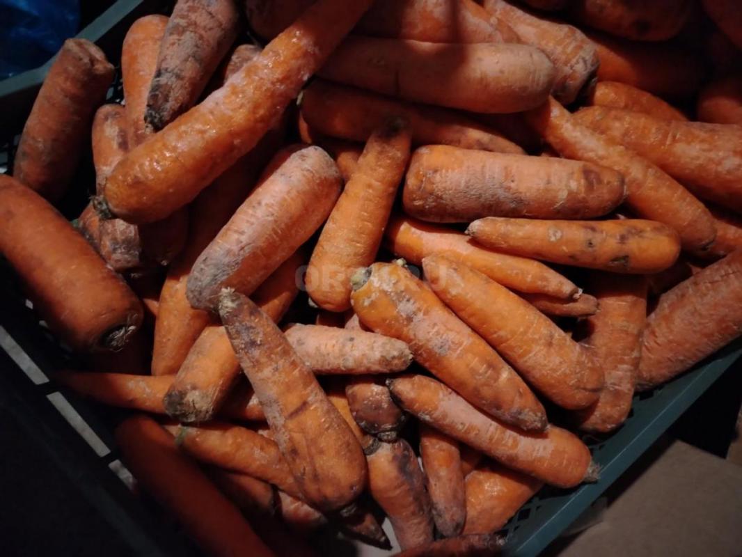 Птщевые отходы на корм животным - Орск