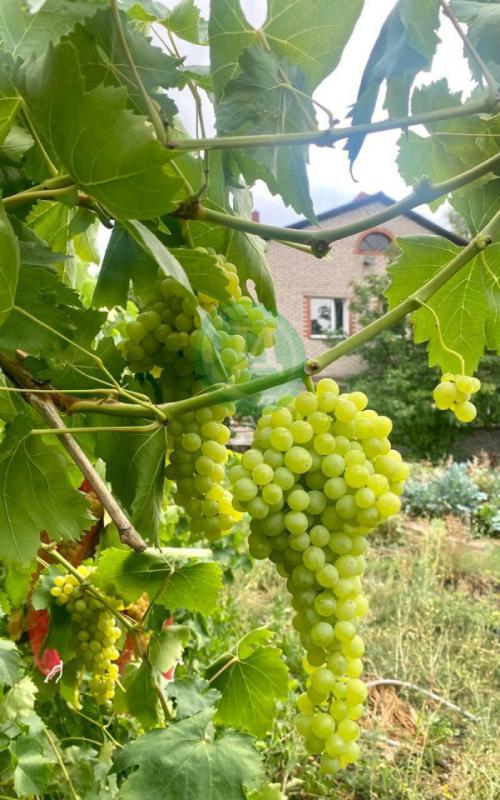 К продаже предлагается индивидуальный жилой дом на земельном участке полностью пригодный для комфорт - Орск