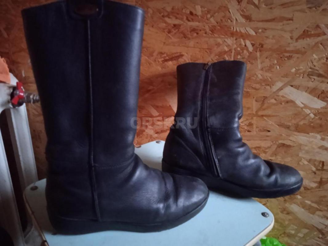 Продам натуральные женские сапоги 36-37 размера в хорошем состоянии - Орск