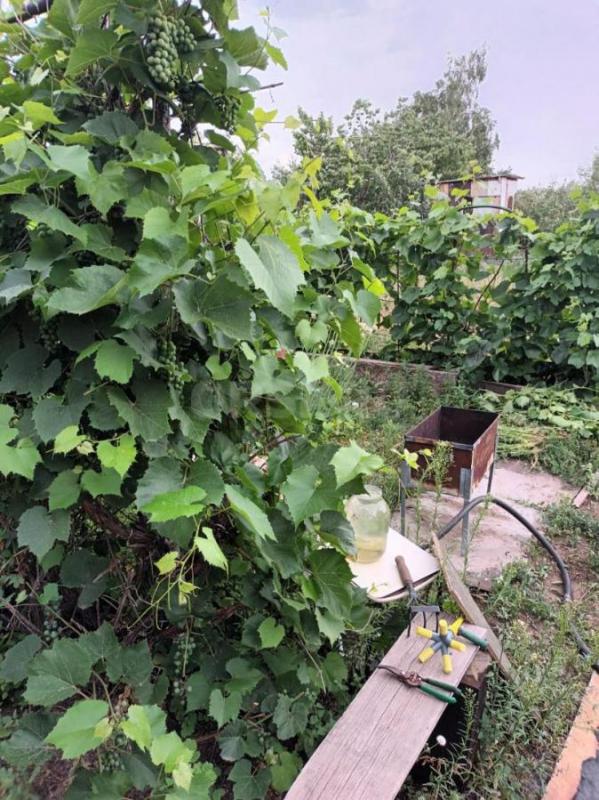 Продам дачу недалеко от поселка Тукай, 10 мин езды от Орска. - Орск